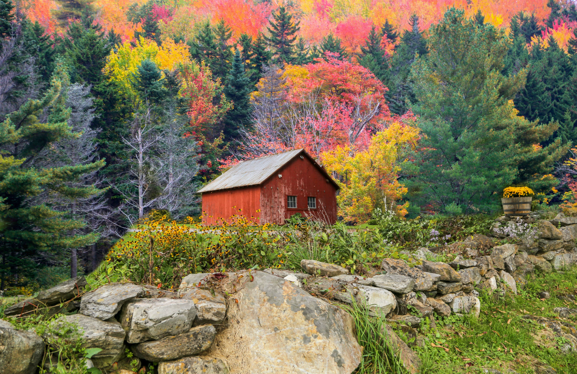 Vmi Inc logo